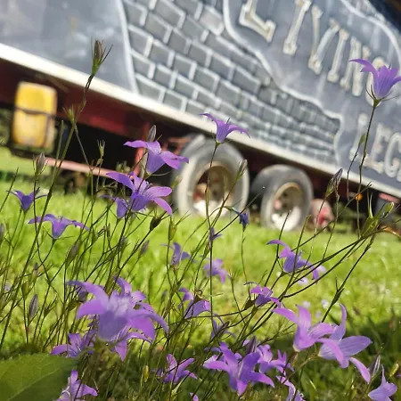 Гостевой дом Living Legends - Tiny House Auf Den Wiesen Der Edermuehle 4*