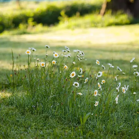 Living Legends - Tiny House Auf Den Wiesen Der Edermuehle 4*