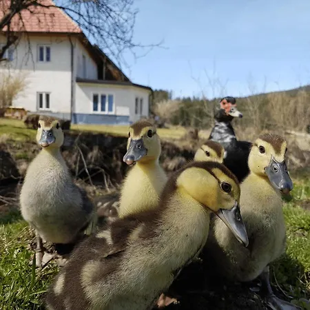 Гостевой дом Living Legends - Tiny House Auf Den Wiesen Der Edermuehle 4*