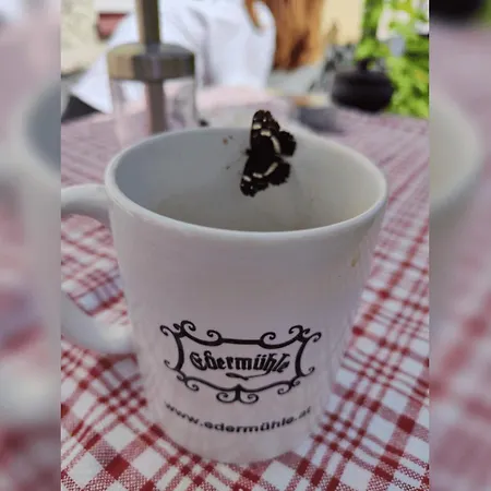 Living Legends - Tiny House Auf Den Wiesen Der Edermuehle Гостевой дом Grosspertholz