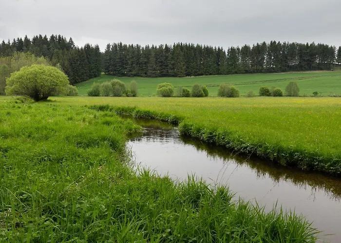 Living Legends - Tiny House Auf Den Wiesen Der Edermuehle בית הארחה Grosspertholz