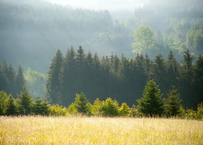בית הארחה Living Legends - Tiny House Auf Den Wiesen Der Edermuehle