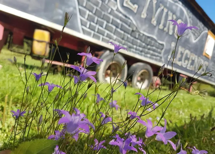 בית הארחה Living Legends - Tiny House Auf Den Wiesen Der Edermuehle 4*