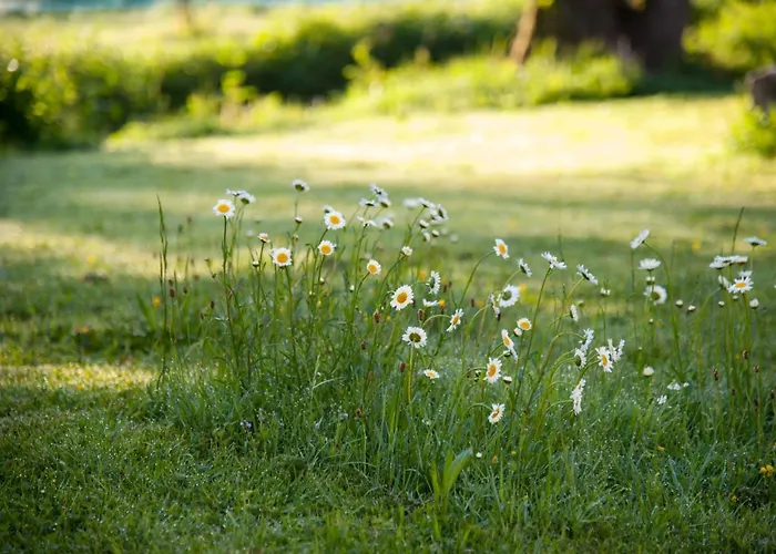 Living Legends - Tiny House Auf Den Wiesen Der Edermuehle 4*