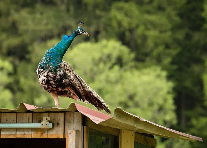 Living Legends - Tiny House Auf Den Wiesen Der Edermuehle בית הארחה 4*