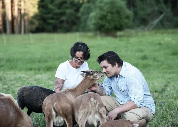 Living Legends - Tiny House Auf Den Wiesen Der Edermuehle בית הארחה 4*