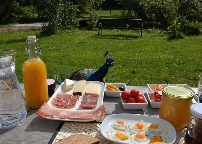 Living Legends - Tiny House Auf Den Wiesen Der Edermuehle 4* Grosspertholz