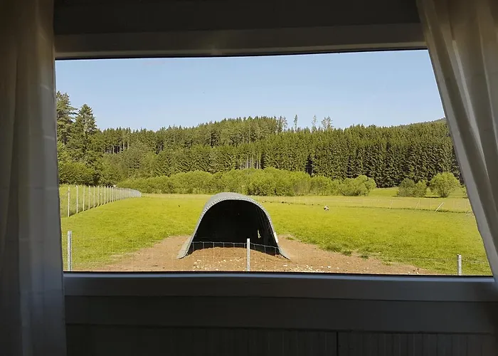 Living Legends - Tiny House Auf Den Wiesen Der Edermuehle Grosspertholz