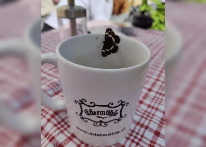 Living Legends - Tiny House Auf Den Wiesen Der Edermuehle בית הארחה Grosspertholz